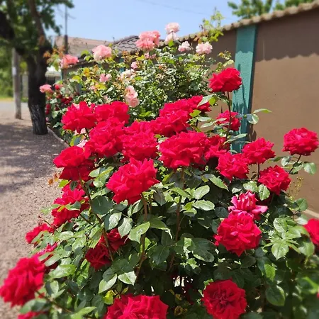 بيت ضيافة Mugur